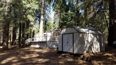 Storage Shed
