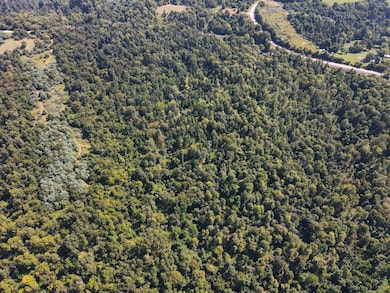 0 Crooked Tree Rd, Dexter City, OH 45727 - photo 4