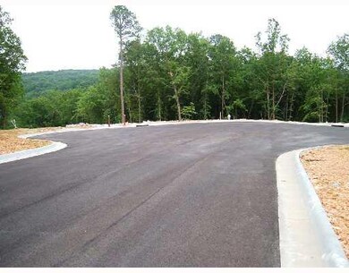 Land/Lot. Cul-de-sac with curbing, street lights,