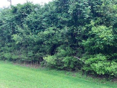 53 Lakeview Drive Lot 1, Alvin, TX 77511 - photo 2