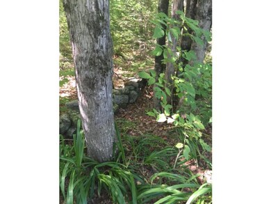 1523 Mcmillan Rd, Halifax, VT 05342 - photo 2