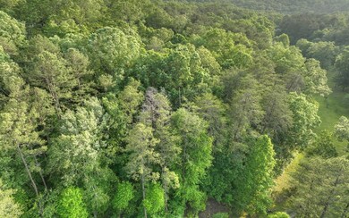 31 Grant Ln, Mineral Bluff, GA 30559 - photo 6