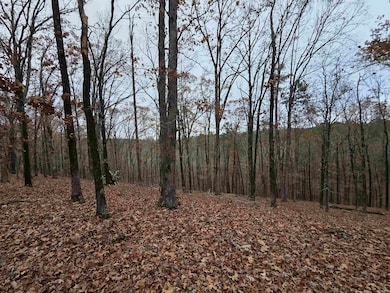 00 Colonel Glenn Rd, Little Rock, AR 72210 - photo 4