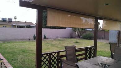 Backyard Oasis