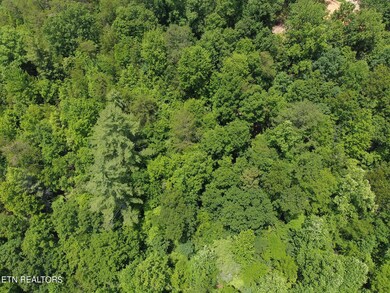 DJI_0011