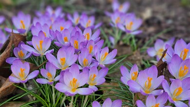 207 Hartshorn Rd, Barnstead, NH 03218 - photo 6