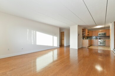 47 Homer Ave unit 5-1, Cambridge, MA 02138 - photo 3