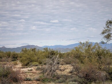 Omega Views 2 (2)
