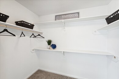 2803 Quail Run Dr, Alvin, TX 77511 - photo 7