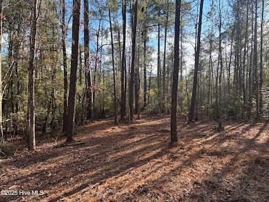 3227 Lee Landing Rd, New Bern, NC 28560 - photo 4