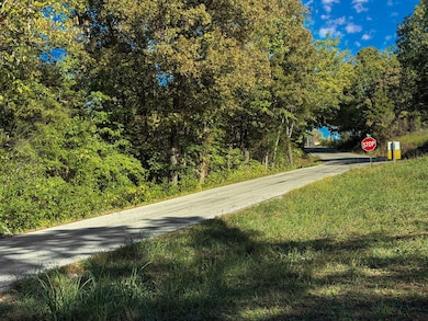 Tract 3 Everest Rd, Ruth A Township, MO 65656 - photo 5