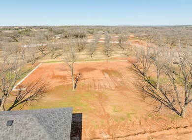 538 High Tower Ln, Granbury, TX 76049 - photo 5