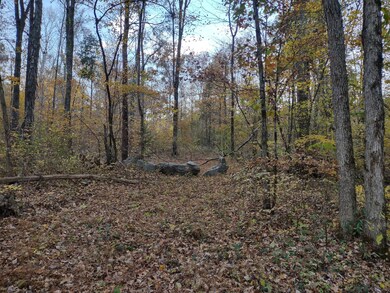 0 Milltown Rd unit RTC2453689, Lewisburg, TN 37091 - photo 3