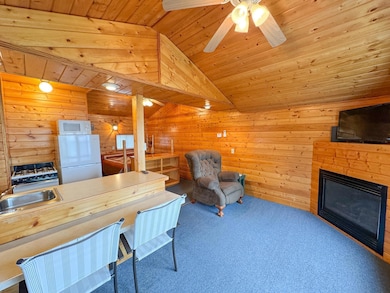 27621 County Highway 83 unit 1, Battle Lake, MN 56515 - photo 6