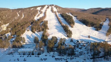 3128 White Mountain Hwy unit 3, North Conway, NH 03860 - photo 3