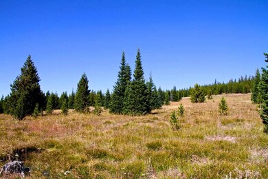 TBD Swift Bear Lot 245, Big Sky, MT 59716 - photo 7
