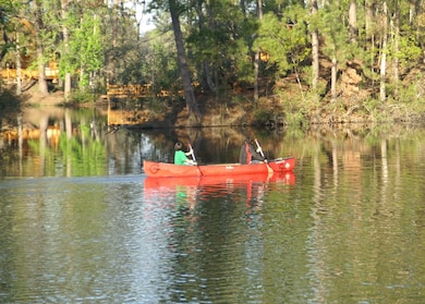81 Pine Meadow, Cleveland, TX 77327 - photo 7