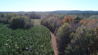 Al-10, Shorterville, AL 36373 - photo 4