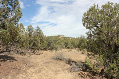 5821 Ensenada Way, Farmington, NM 87402 - photo 6