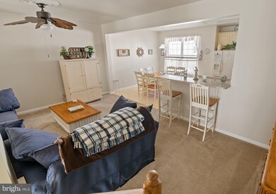 38335 N Mill Ln unit 133, Ocean View, DE 19970 - photo 4