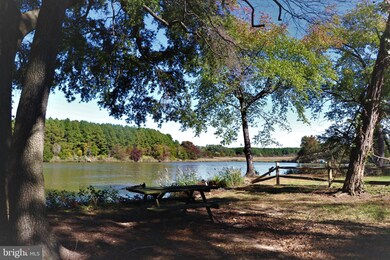 128 N Lake Dr, Stevensville, MD 21666 - photo 4