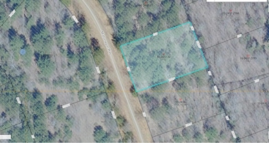 On Mishonagon Way, Lac Du Flambeau, WI 54538 - photo 3