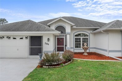 294 N Turkey Pine Loop, Lecanto, FL 34461 - photo 4