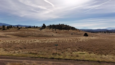 Unit 5 Lot 48 Lake Side Ln unit 5, Hornbrook, CA 96044 - photo 6