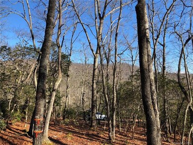 425 Walnut Valley Pkwy unit Lot 96, Arden, NC 28704 - photo 7