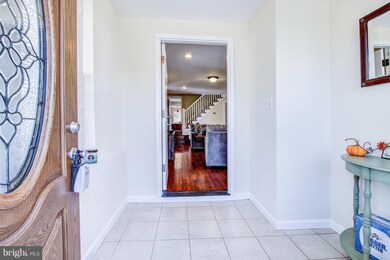 3605 Hineline Rd, Baltimore, MD 21229 - photo 4