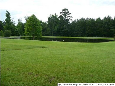Stocked pond for the avid fisherman. Catch a bucke