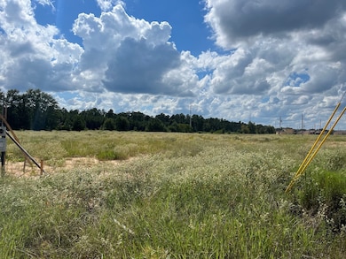 106 County Road-5102l, Cleveland, TX 77327 - photo 5