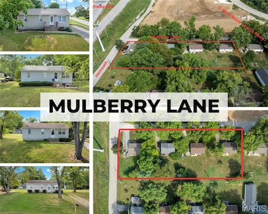 2820 Mulberry Ln, Saint Charles, MO 63303 - photo 5