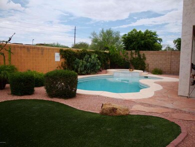 Pool-Backyard 2