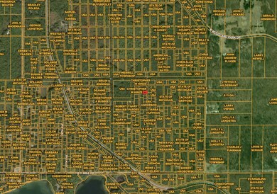 V/L 40th Ave, Merrill Township, MI 49309 - photo 7