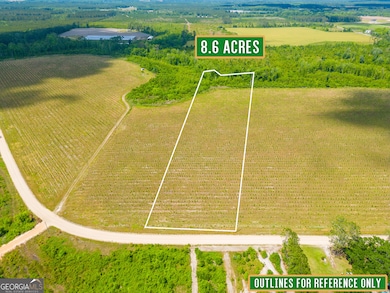 Tract 9 Sellers Rd, Baxley, GA 31513 - photo 3