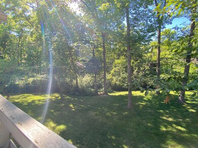 awesome yard