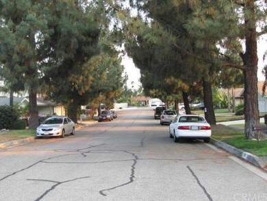 Tree lined street