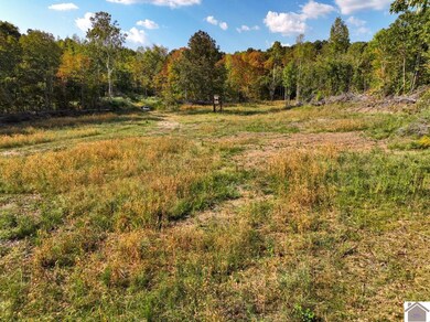 000 Cedar Grove Rd unit (Livingston Co. KY 9, Salem, KY 42078 - photo 7