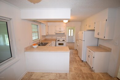 210 Branchwood Dr, Jacksonville, NC 28546 - photo 4