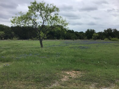 20011 Misty Valley Cir, Whitney, TX 76692 - photo 2