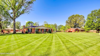 Front yard