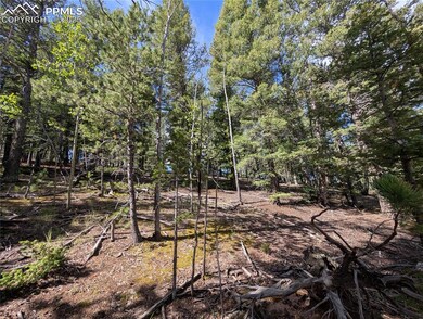 60 Fluorite Ln, Midland, CO 80814 - photo 6