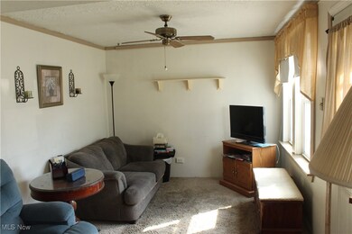 30059 Regent Rd, Wickliffe, OH 44092 - photo 3