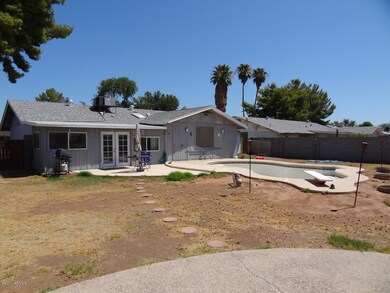back yard