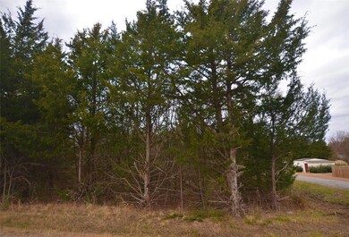 Lot 565 Toy Ln, Pottsboro, TX 75076 - photo 3