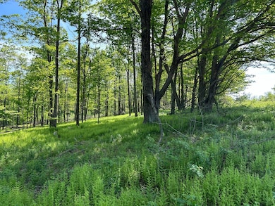 0 Crumb Cemetary Rd unit 22454652, Cairnbrook, PA 15924 - photo 5