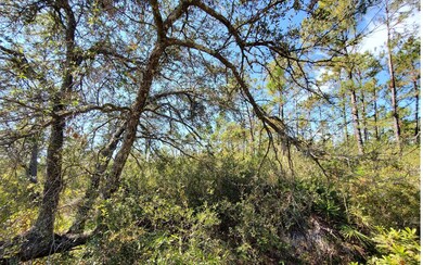 0 County Line Rd unit 121590, Lee, FL 32059 - photo 7