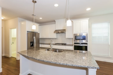 3025 Damsel Sauvage Ln, Lewisville, TX 75056 - photo 3