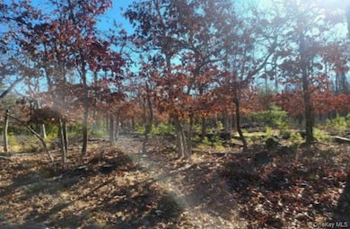 550 Wainscott Nw Rd, East Hampton, NY 11975 - photo 3